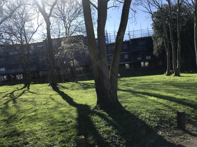 Room Coburg Crescent in Greater London