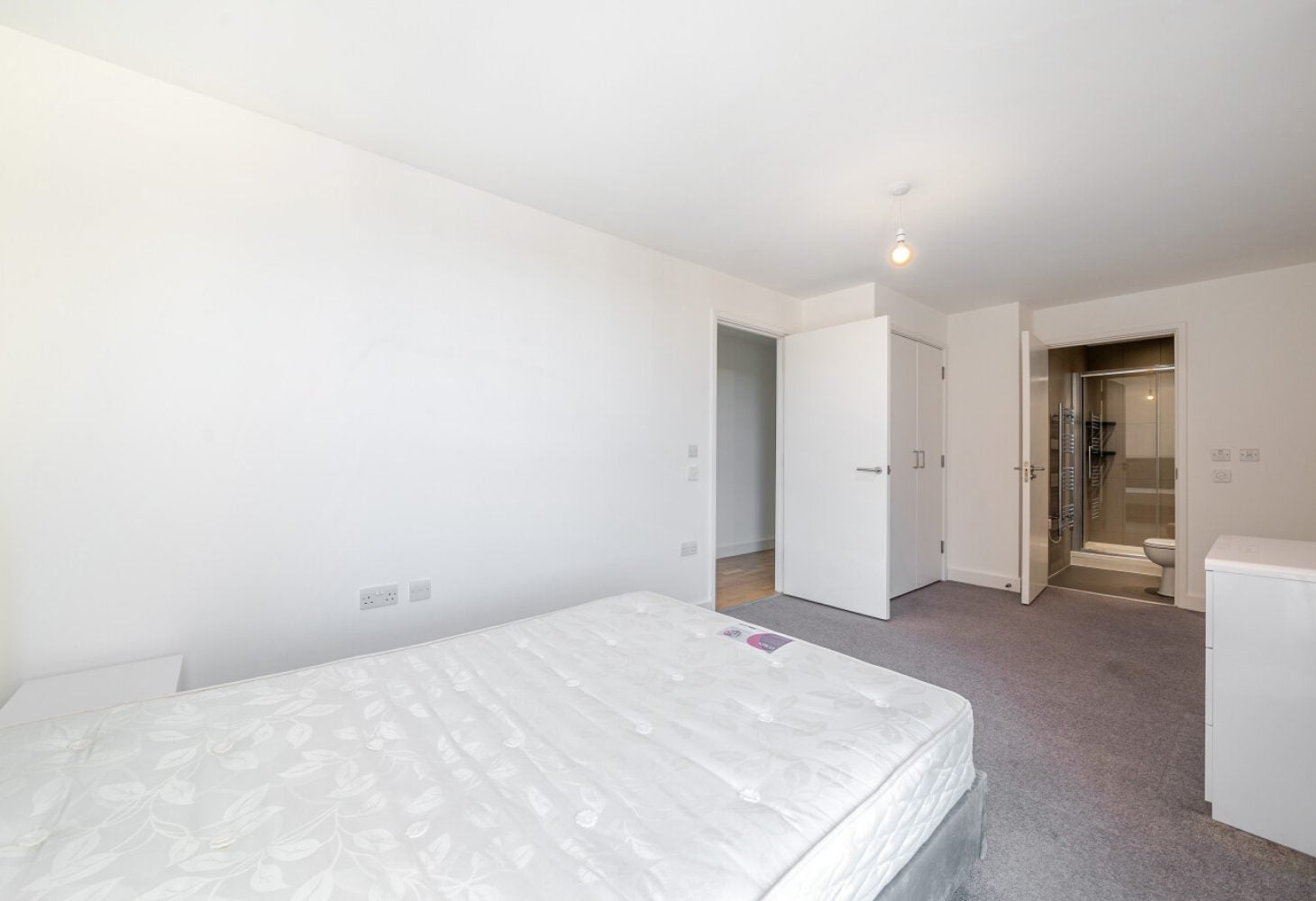 Flat Blackbush Springs in Harlow