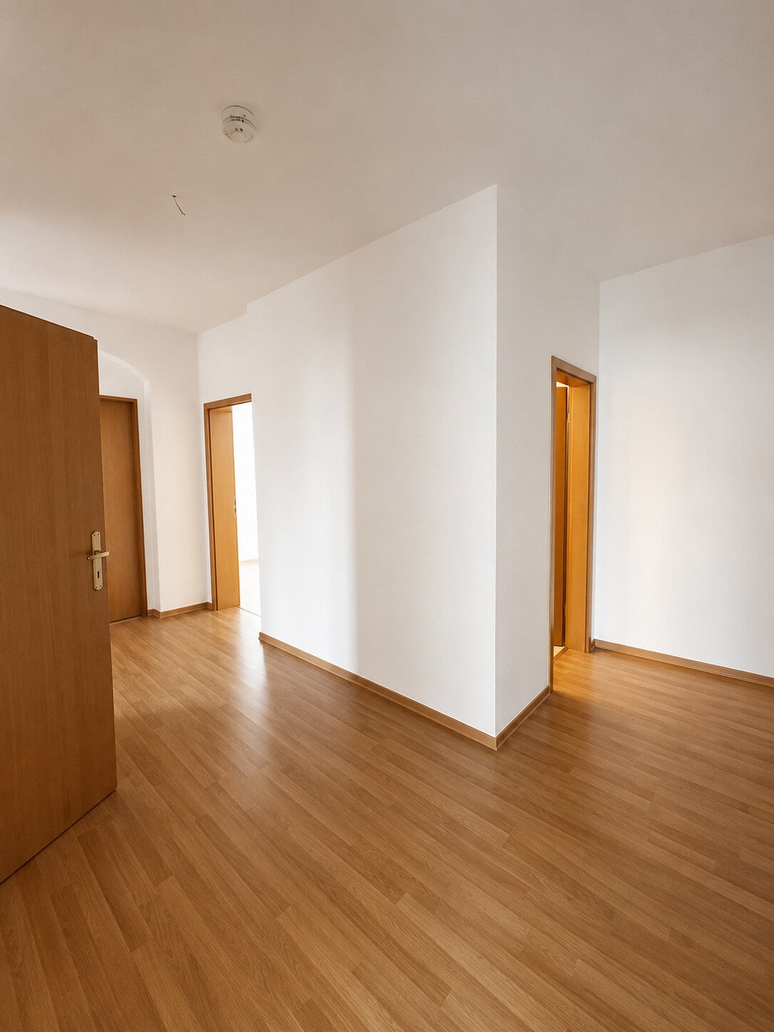 Wohnung Rabenauer Straße in Dresden