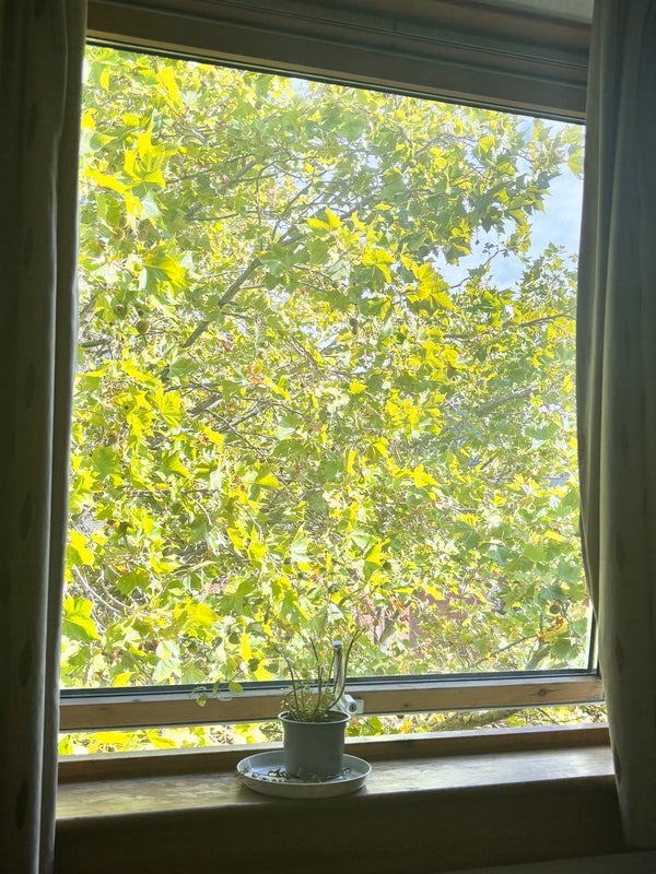 Room College Place in Greater London
