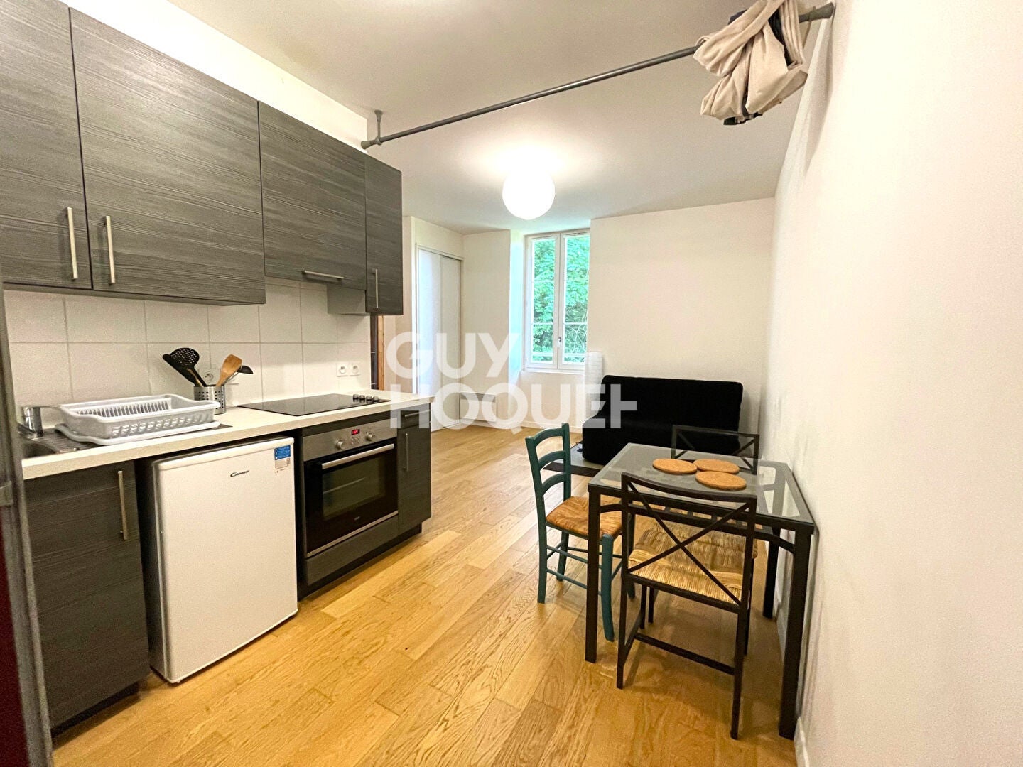Flat Rue Doyen Gosse in Saint-Martin-d'Hères