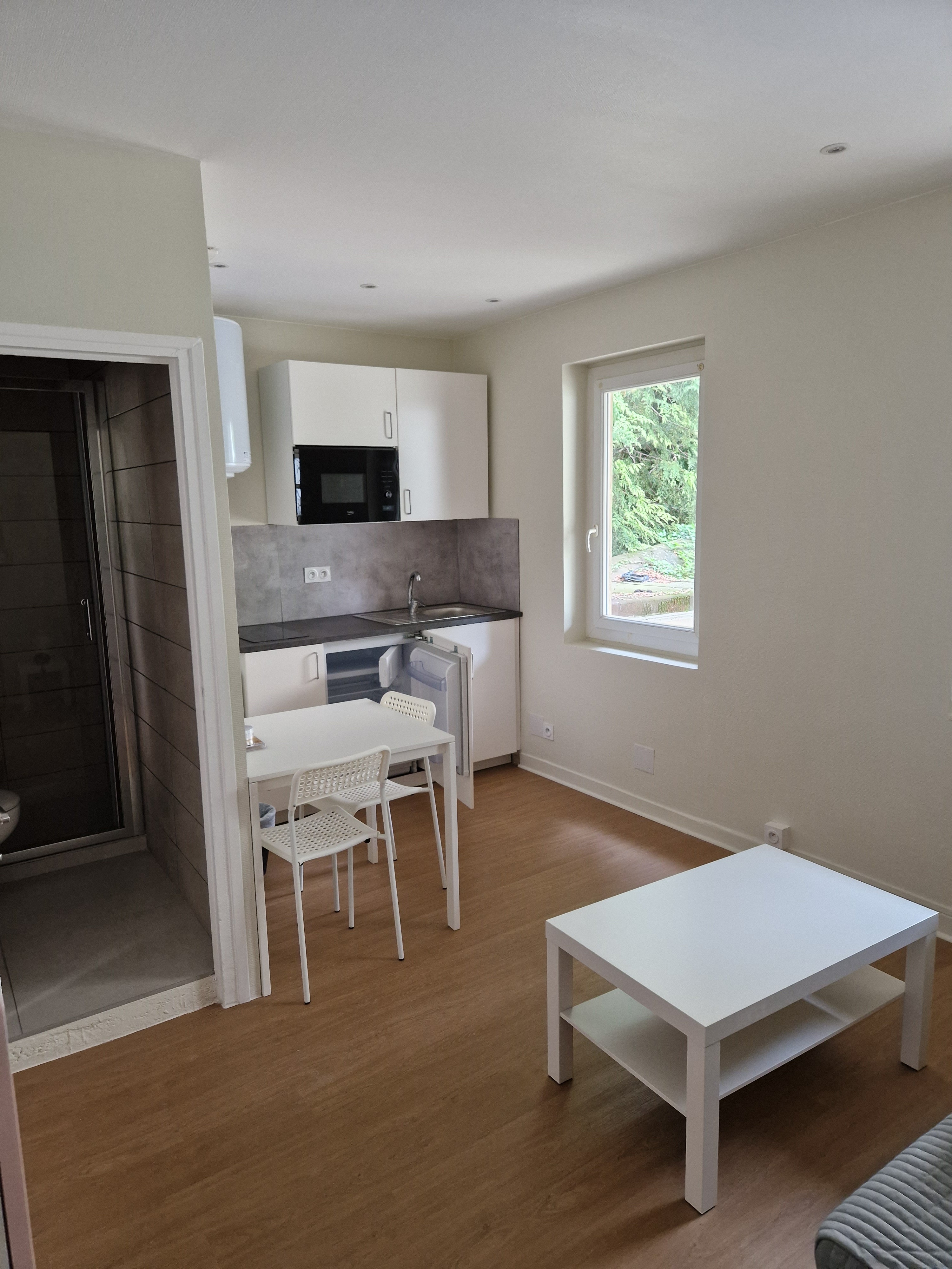 Appartement Rue Voltaire à Saint-Étienne