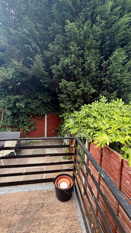 Room Buerton Avenue in Manchester