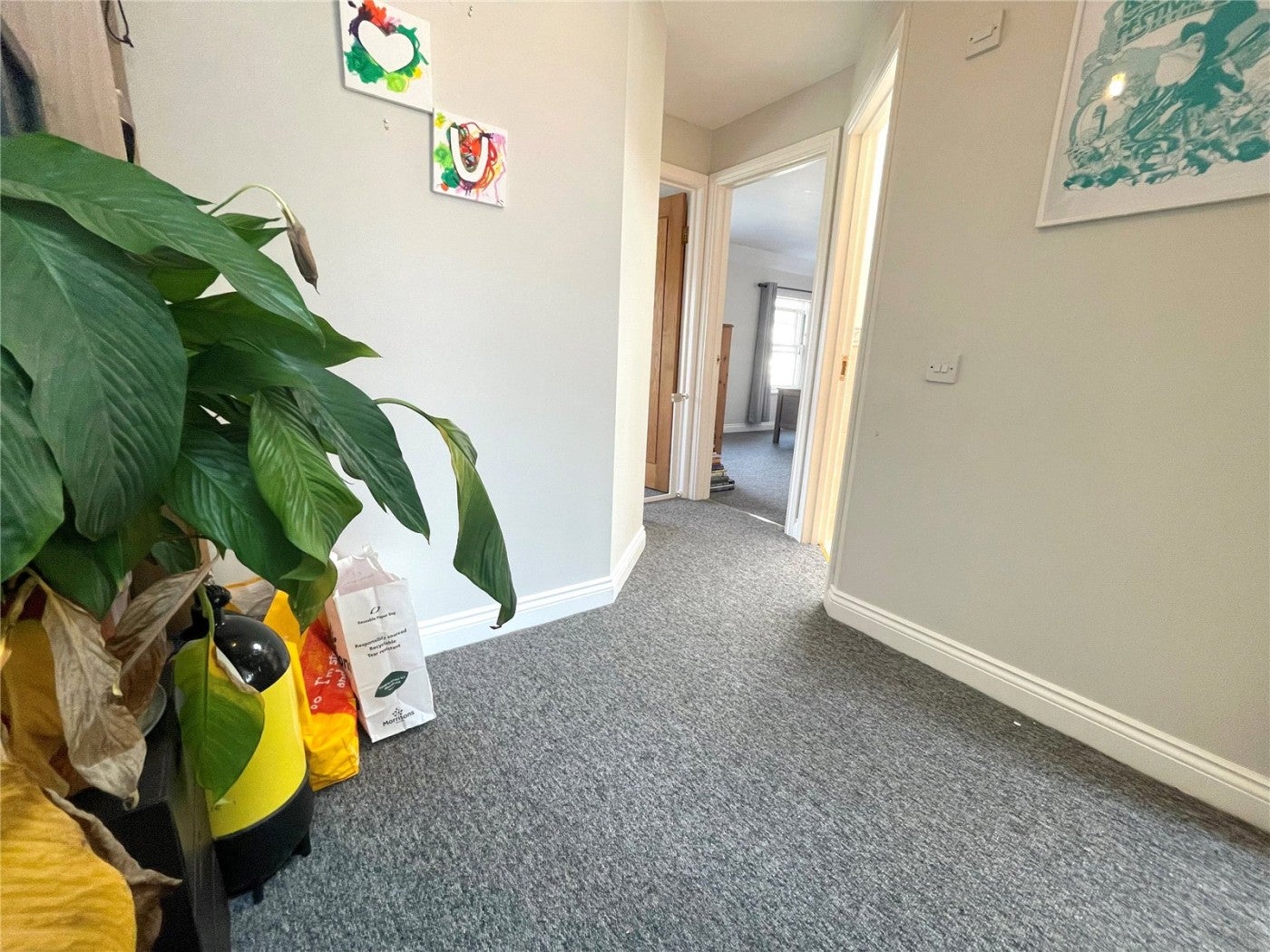 Flat Purewell in Christchurch