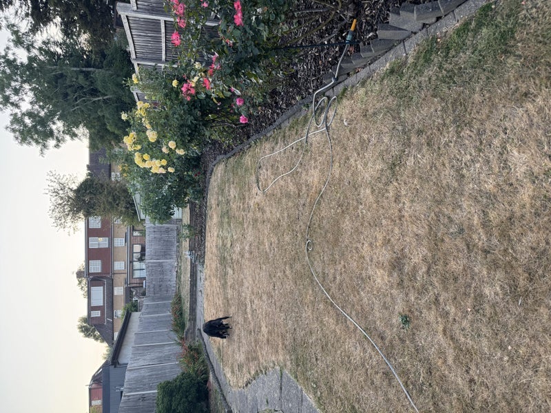 Room Lovegrove Way in Greater London