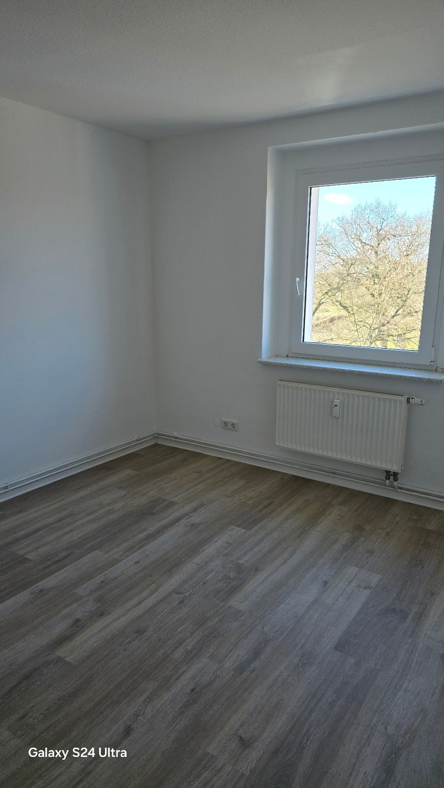 Wohnung Am Elbufer in Wittenberg