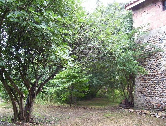 Room Chemin de la Rigaude in Livron-sur-Drôme