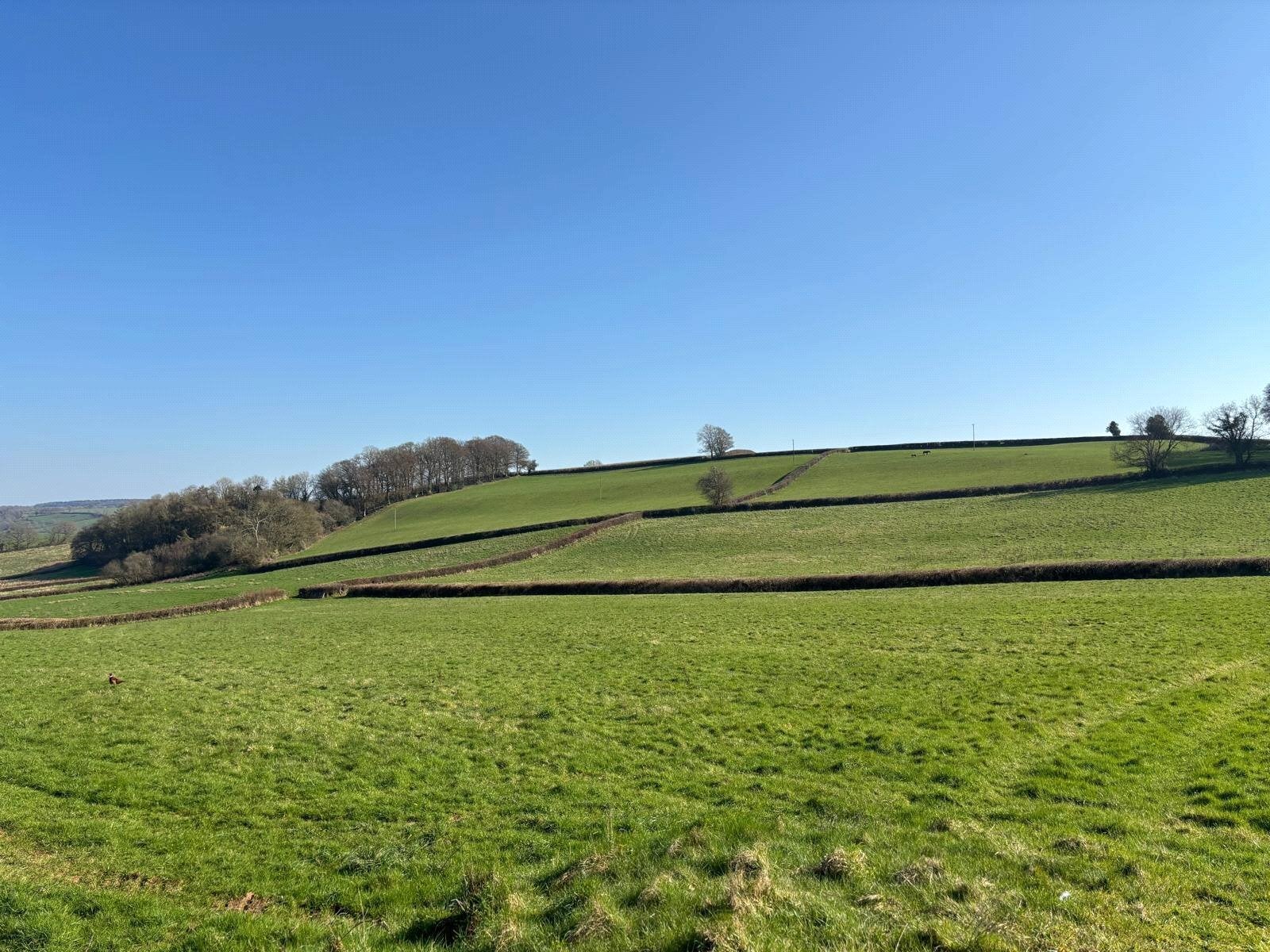 Flat Mulholland Way in Highbridge