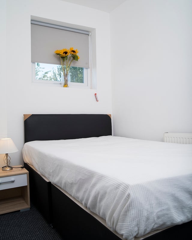 Room Manor Lane in Sheffield