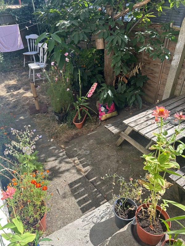 Room Russell Avenue in Greater London
