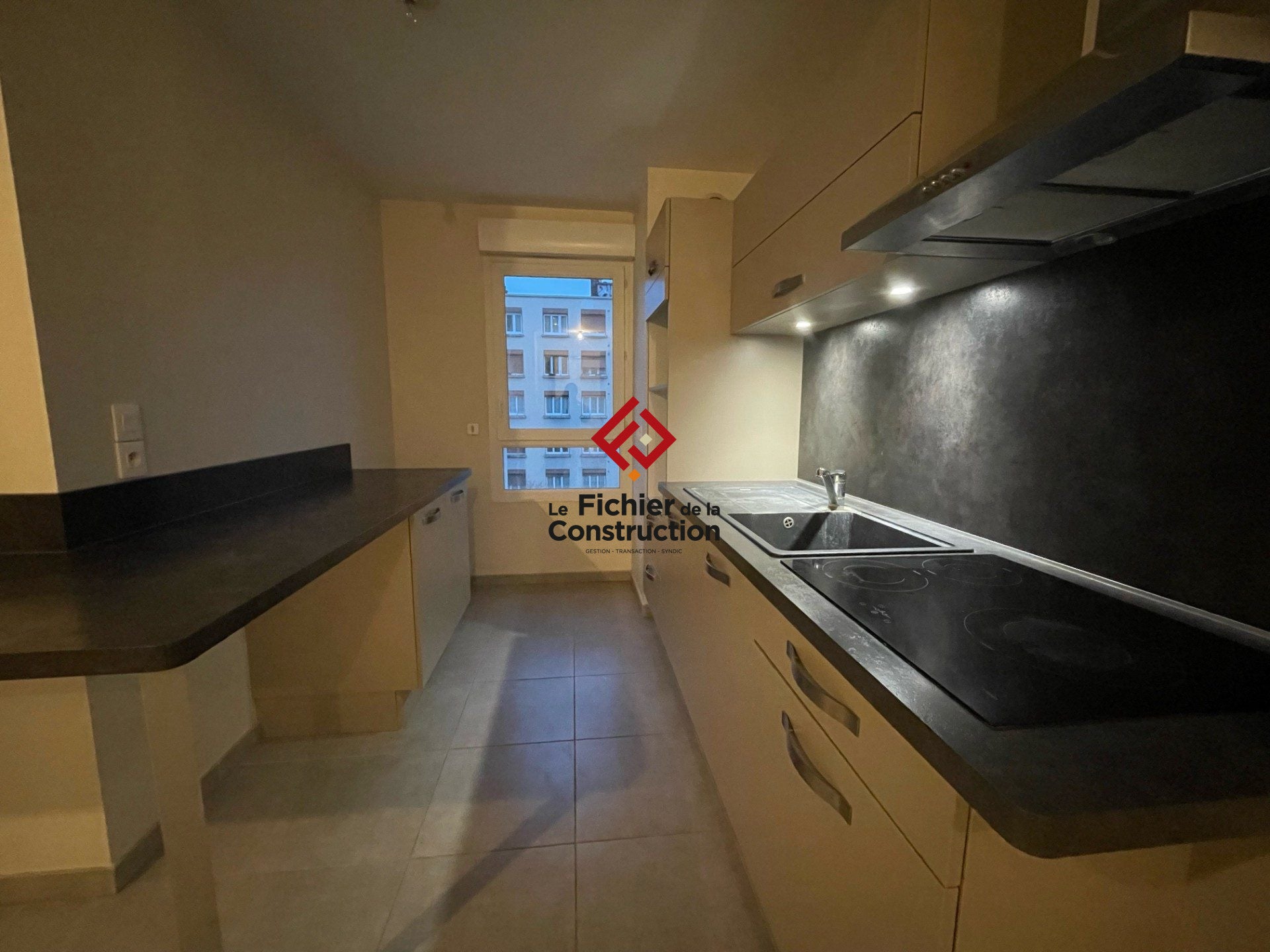 Appartement Avenue Albert 1er de Belgique à Grenoble