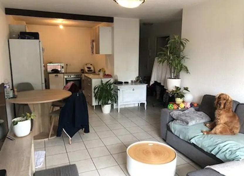 Appartement Avenue du Stade à Douvaine