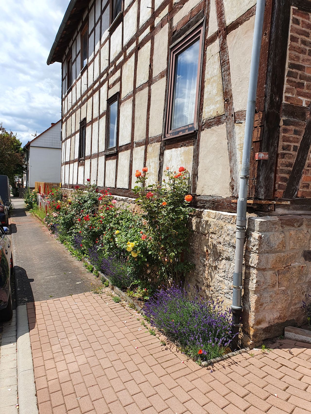 Wohnung Adolf-Müller-Straße in Sachsenberg