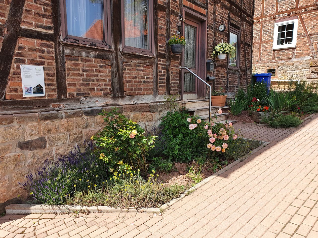 Wohnung Adolf-Müller-Straße in Sachsenberg