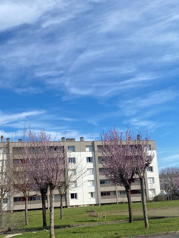 Flat Avenue des Cèdres in Aureilhan