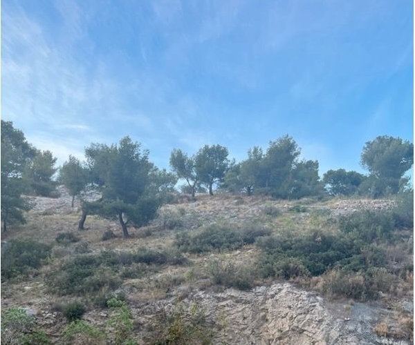 Flat Avenue de Mazargues in Marseille