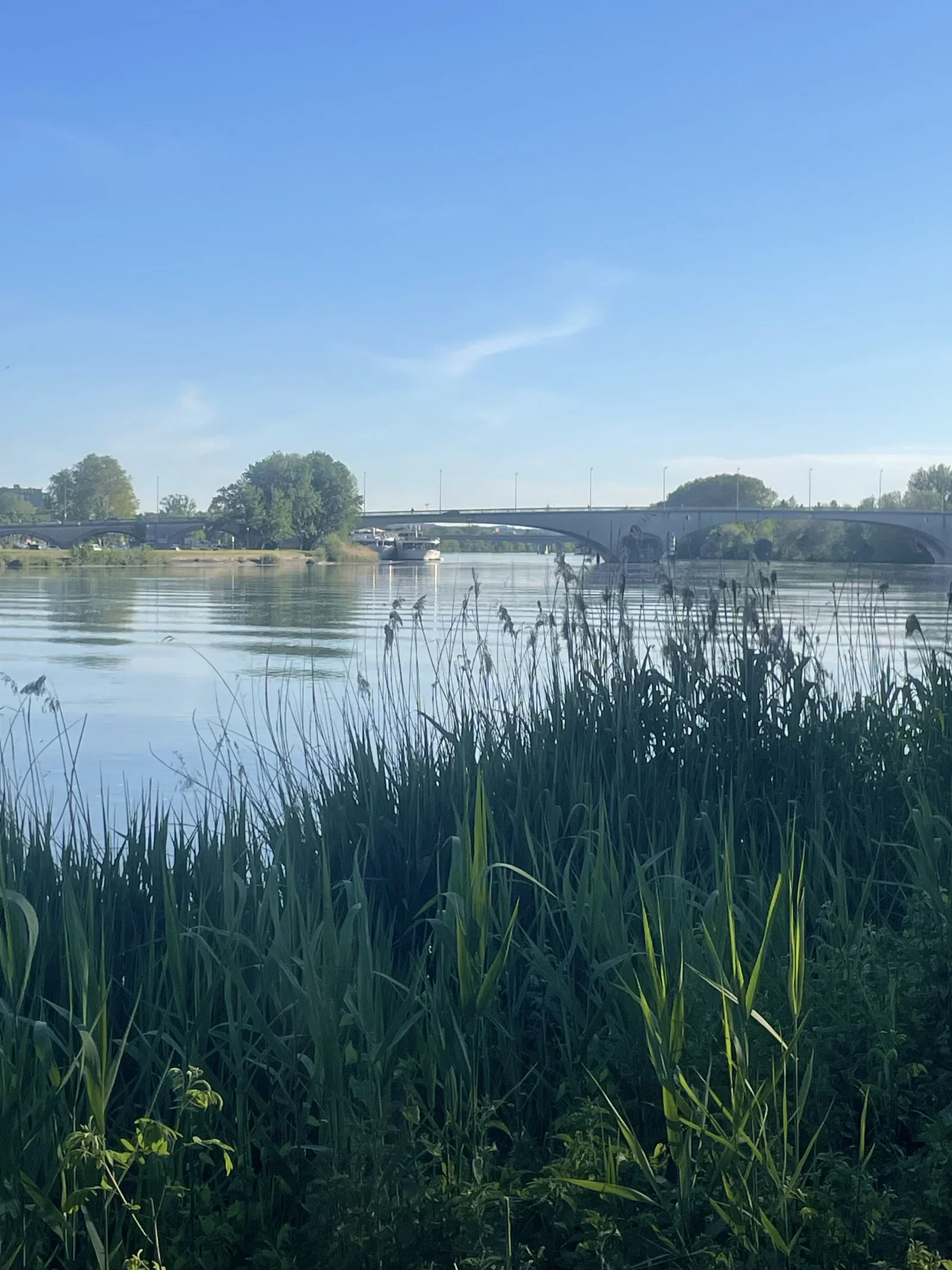 Flat Chemin du Vergon Ouest in Pont Royal