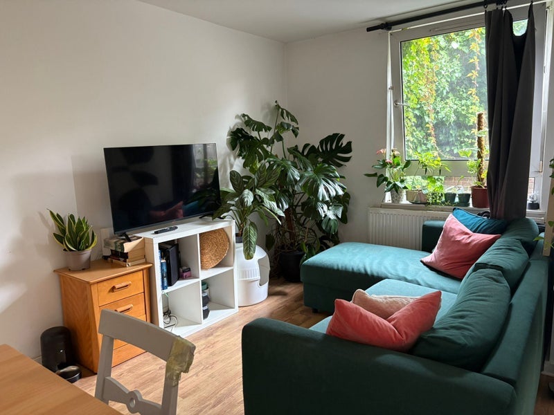 Flat Maysoule Road in Greater London
