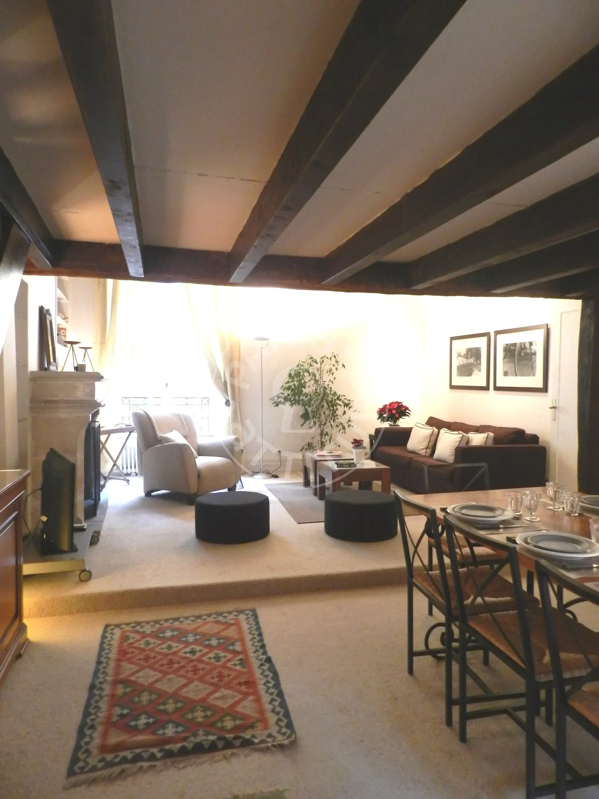 Flat Rue des Grands Augustins in Paris