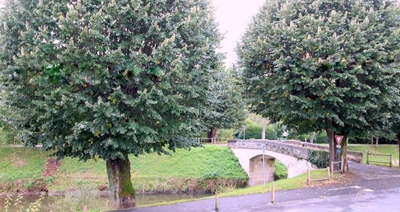 Flat Promenade du Canal in Périgueux
