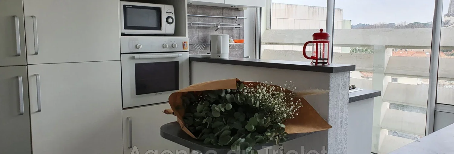 Appartement Rue du Faubourg Saint Jaumes à Montpellier