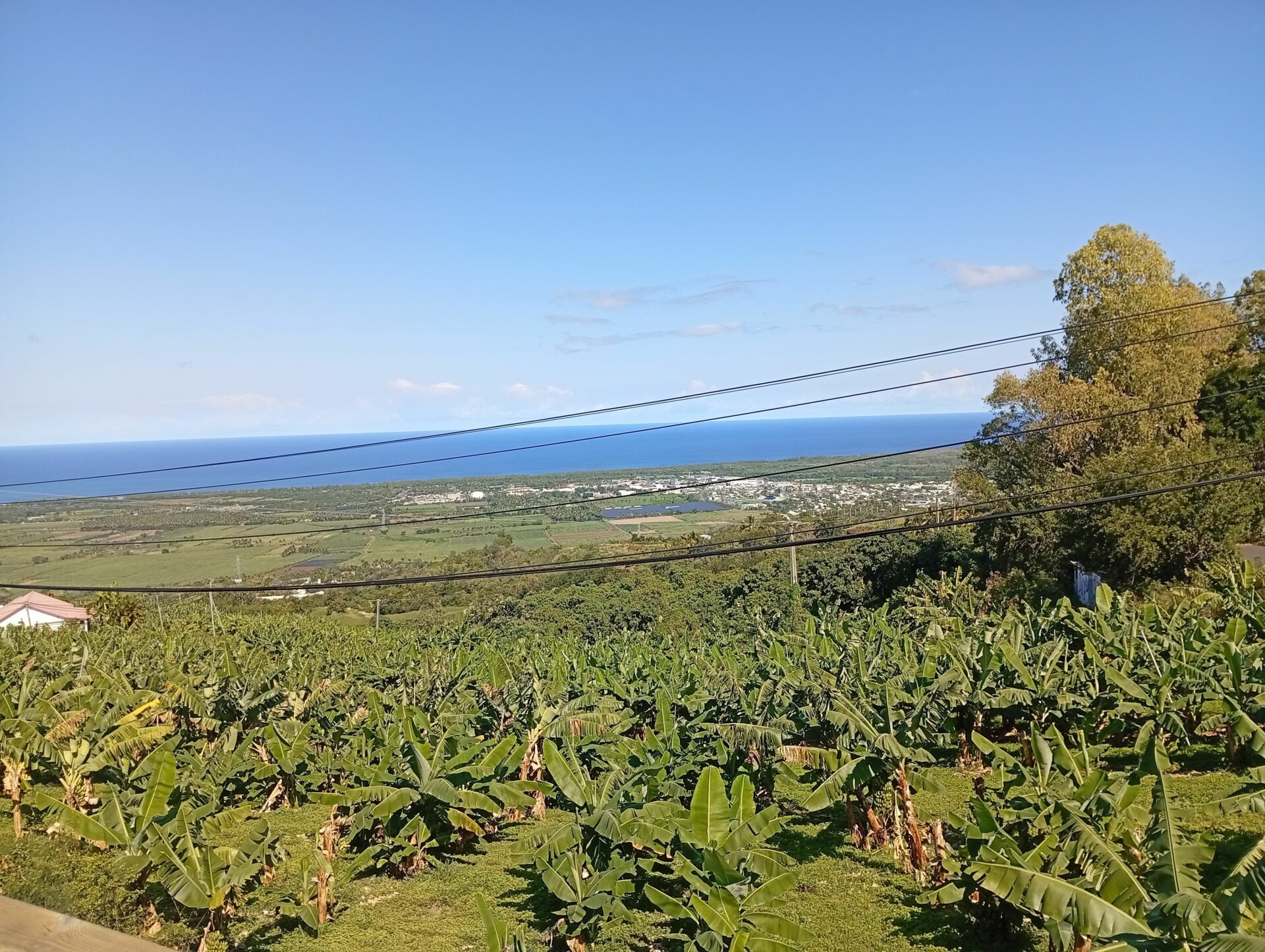 Maison Chemin Maniron à L'Étang-Salé