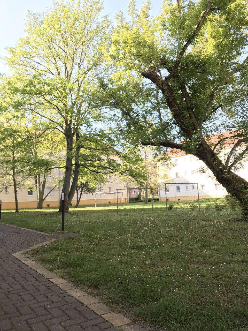 Wohnung Martin-Luther-Straße in Bitterfeld-Wolfen