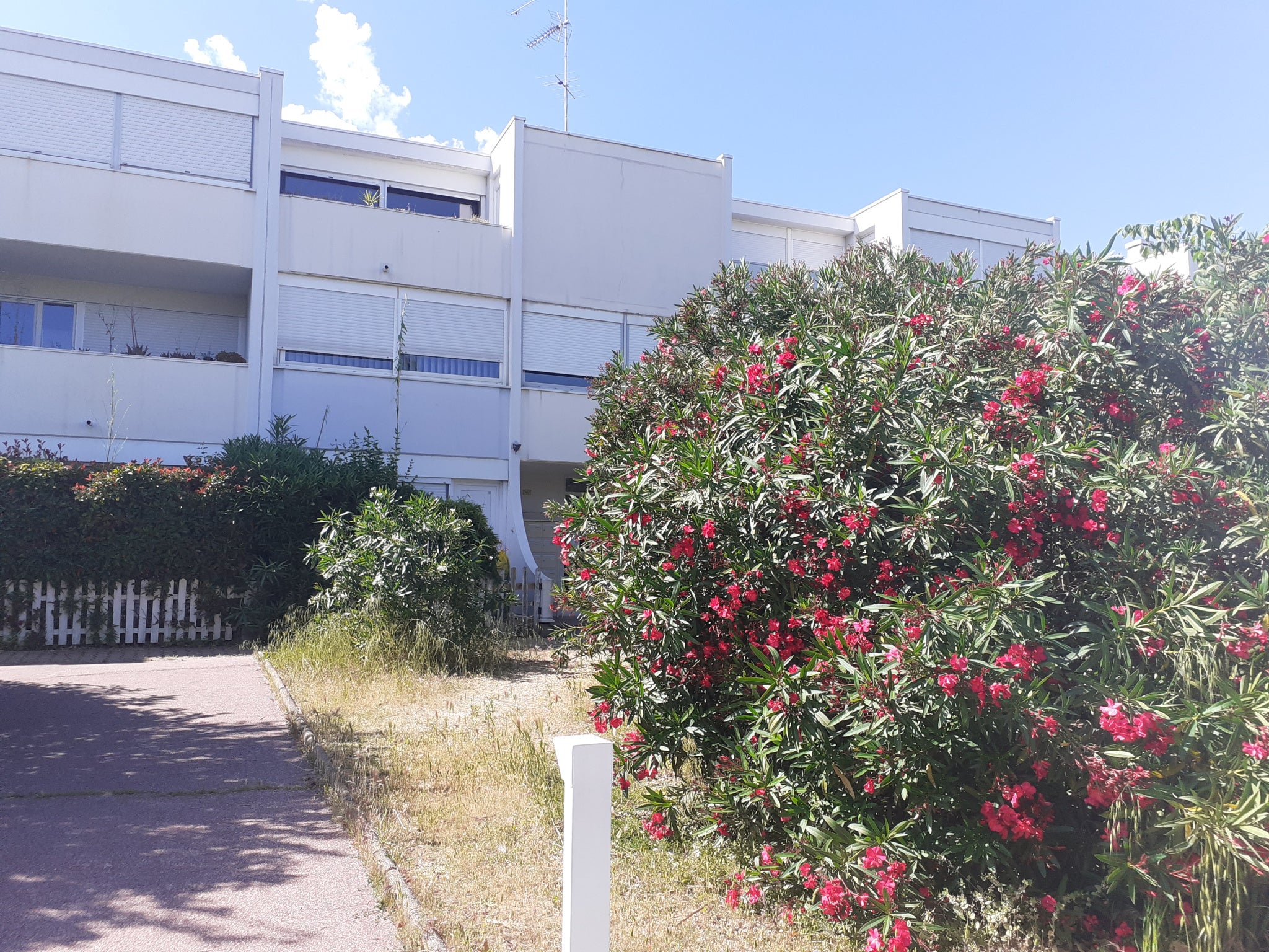 Appartement Rue Des Avesnes à Équirre
