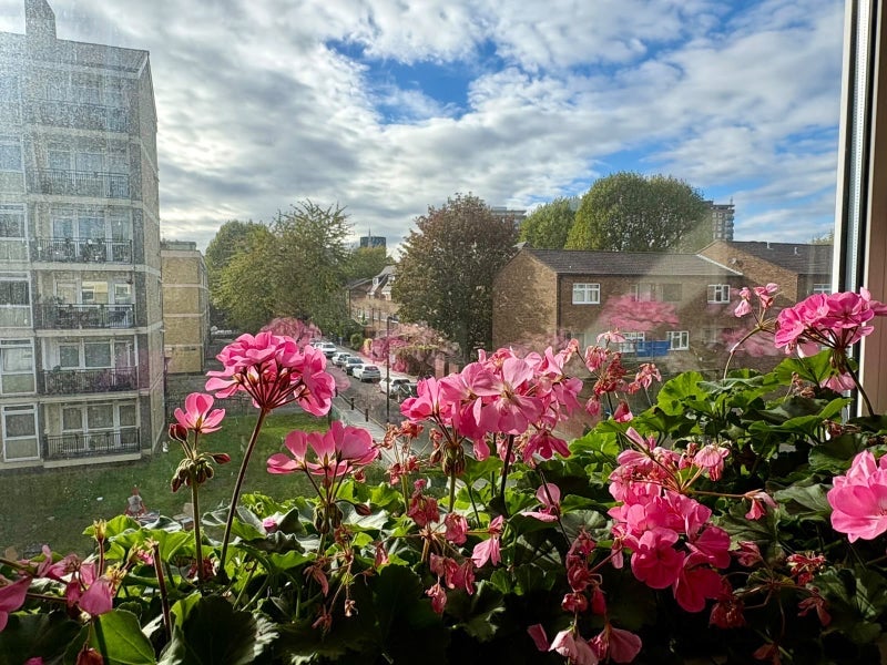 Room Gosset Street in Greater London
