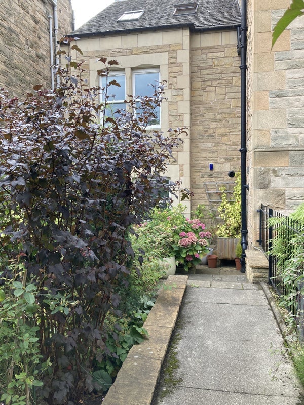 Room Mayfield Gardens in City of Edinburgh