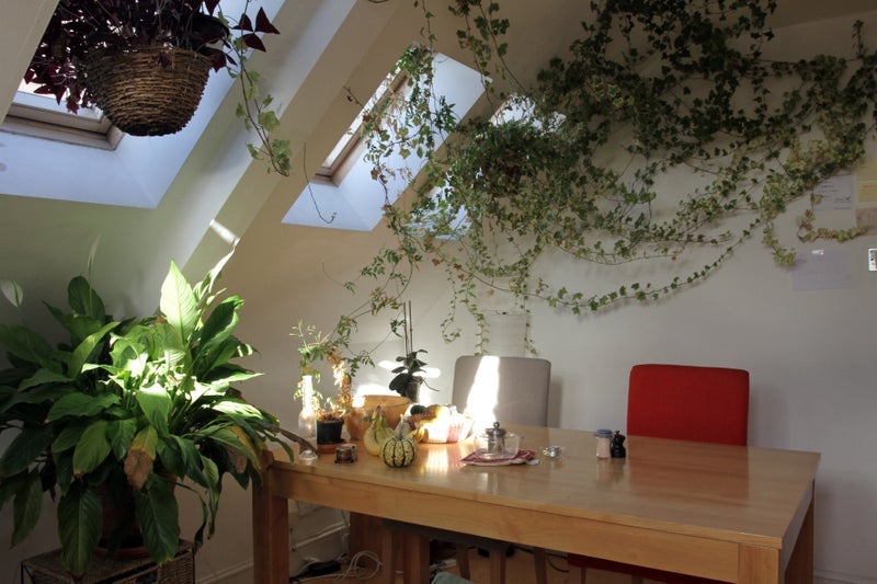 Flat Broadhurst Gardens in Greater London