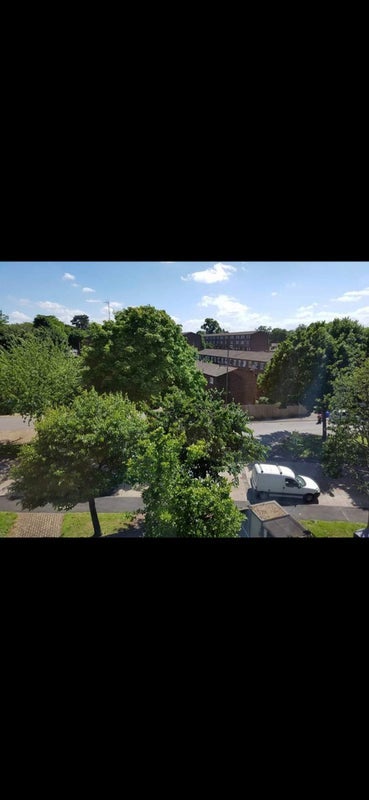 Room Arabella Drive in Greater London