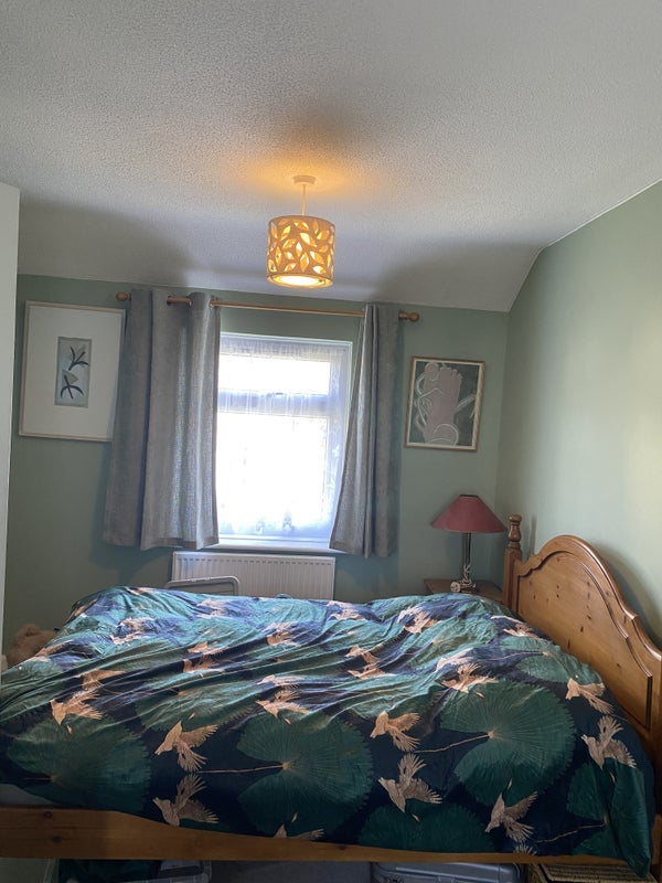 Room Jeffery Road in Chelmsford