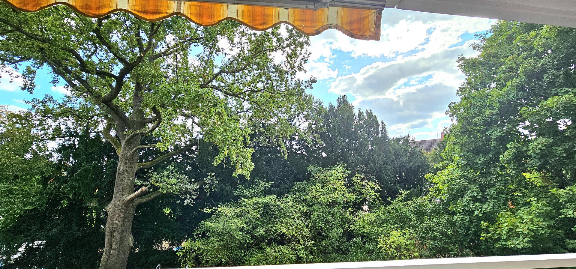Wohnung Bitzenstraße in Grünstadt
