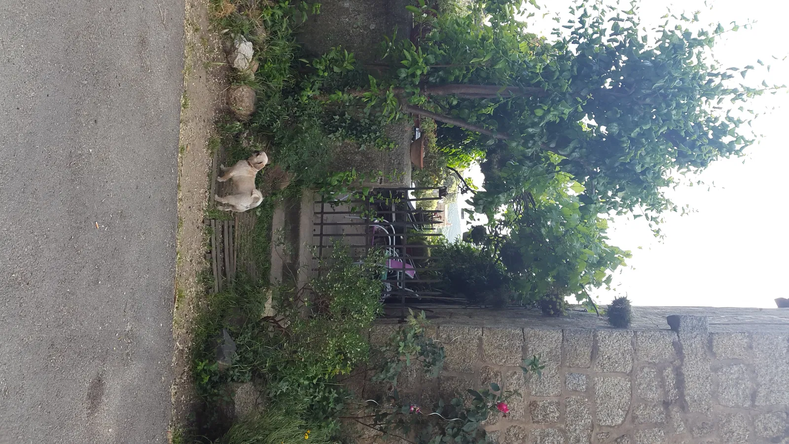 Room D 557 in Santa-Maria-Figaniella