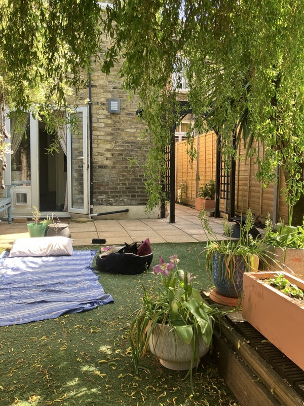 Room Medusa Road in Greater London
