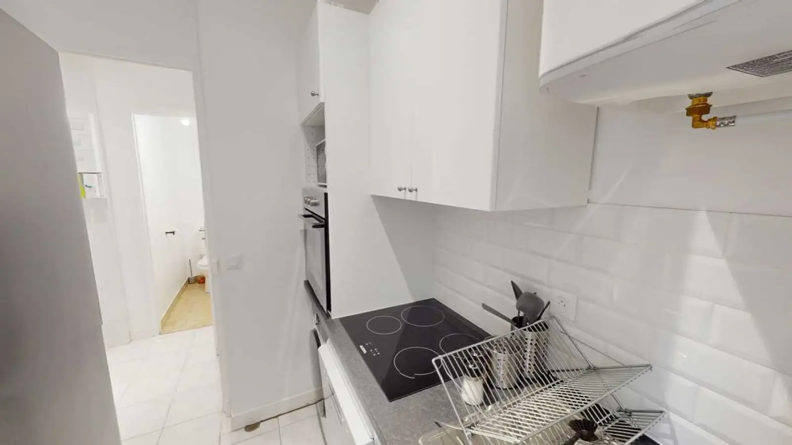 Flat Rue Condorcet in Paris