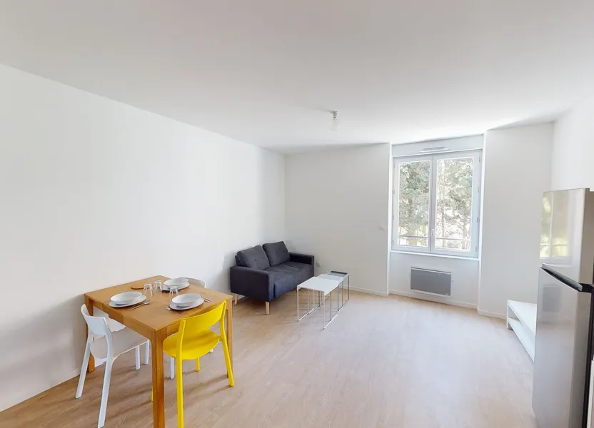 Appartement Rue Claude Delaroa à Saint-Étienne