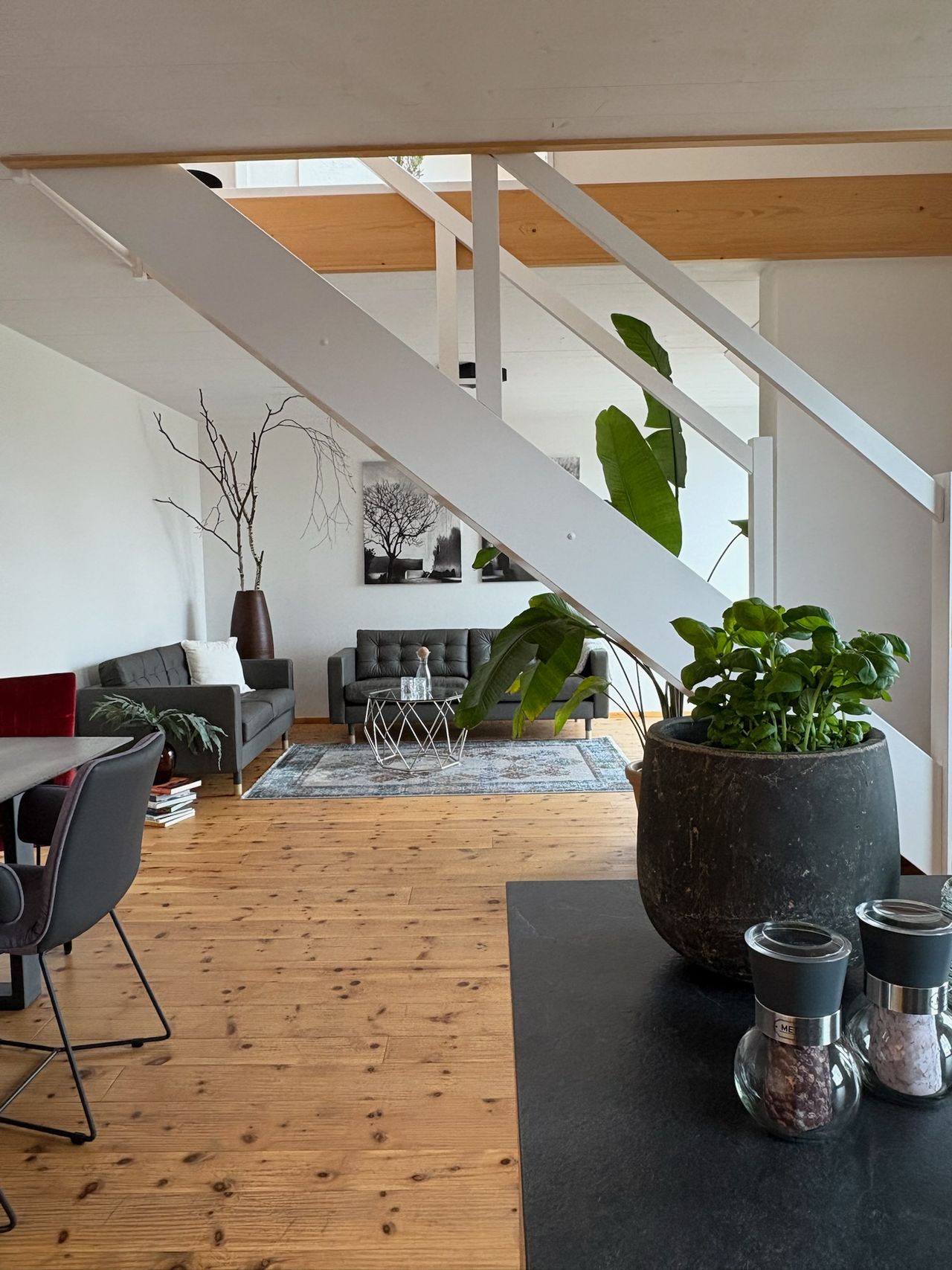 Wohnung Dresdner Straße in Dresden