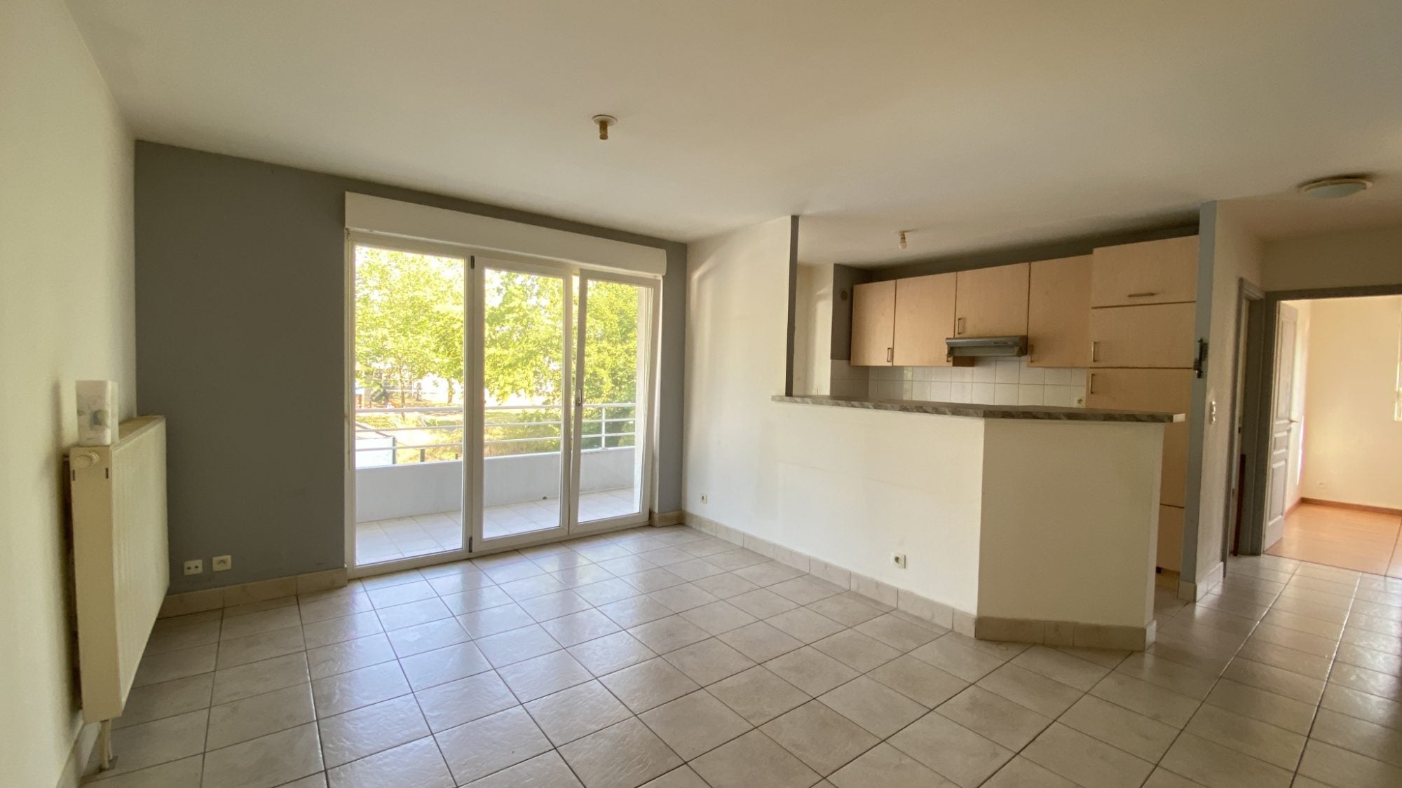Appartement Rue du Sapin à Haguenau