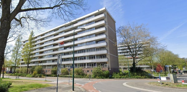 Spreeuwlaan