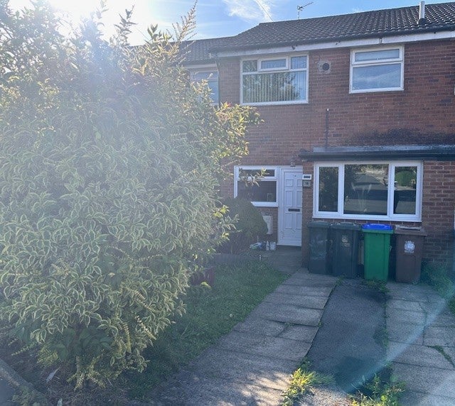 House Mountain Ash in Rochdale