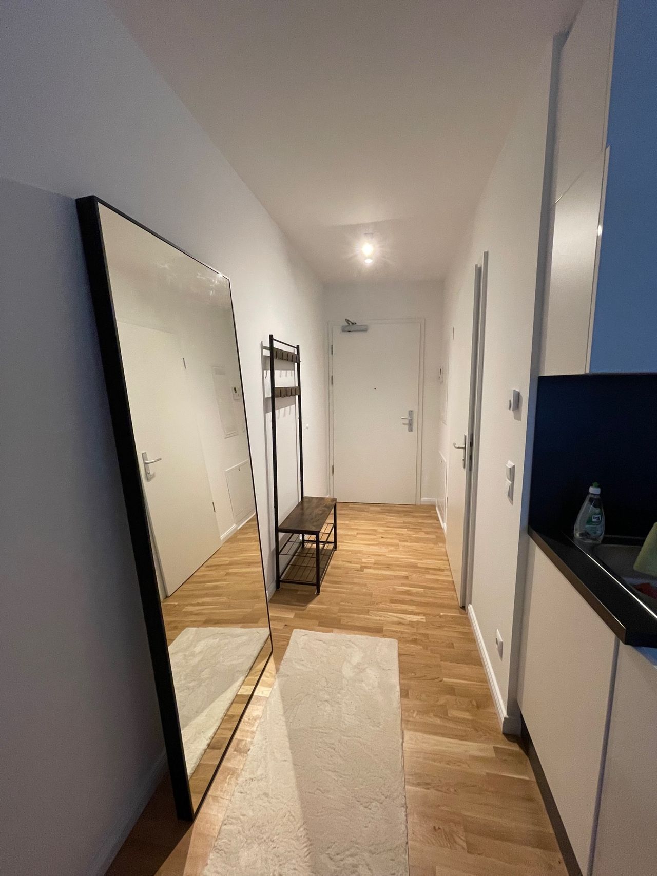 Wohnung Rosenfelder Ring in Berlin
