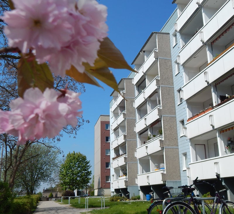 Wohnung Zeppelinstraße in Schkeuditz