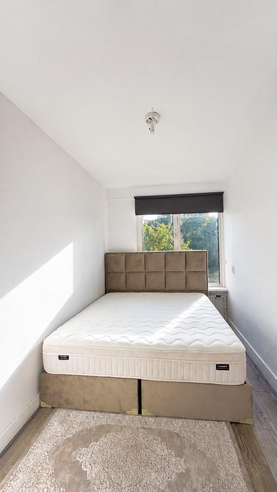 Appartement Bredenoord 169 in Rotterdam