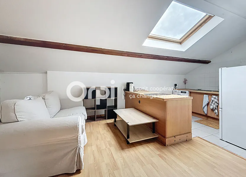 Appartement Rue Carnot à Faverges-Seythenex