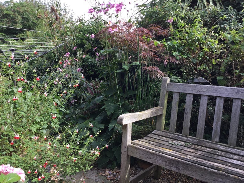 Room Manor Lane in Greater London