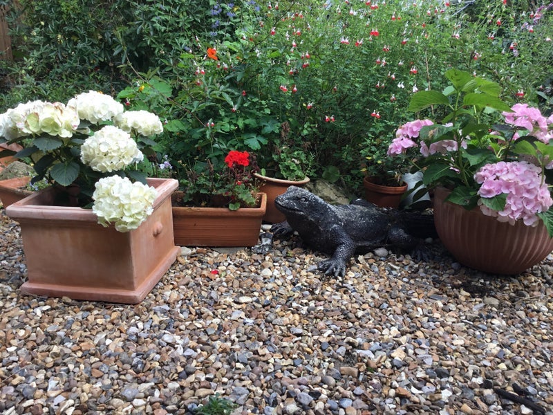 Room Manor Lane in Greater London