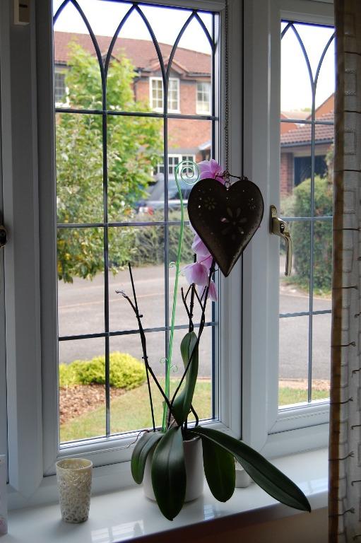 House Furness in Tamworth