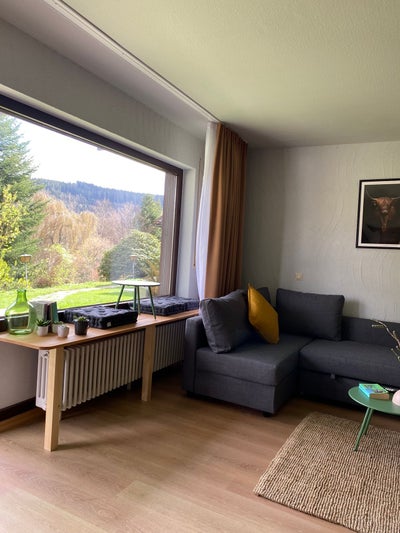 Wohnung Bühlhofweg in Hinterzarten
